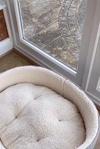 Hide and seek champion | The World Of Awesome Pictures