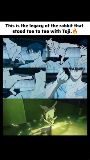 This is the legacy of the rabbit that stood toe to toe with Toji.🔥