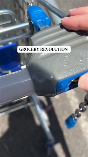 Lou Gibson | $251.99 for the first shop of my new grocery shopping system. The idea: do a bulk shop at the start of the month at Aldi (staples, nappies... | Instagram