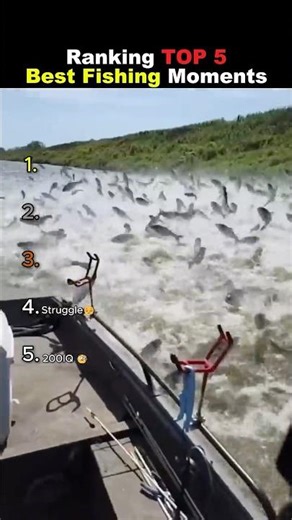 Ranking TOP 5 Best Fishing Moments