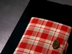 Anne Frank the Writer: An Unfinished Story