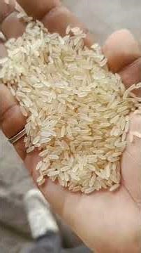 TCS-5T Color Sorter | Crystal Clear Rice Output! #sortingmachine #colorsorter