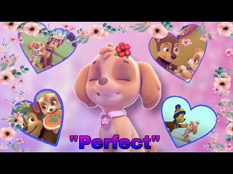 Paw Patrol| Perfect- Ed Sheeran (Skase)