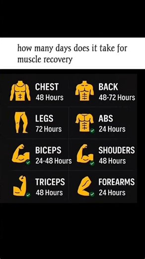 How Many Days Does It Take For Muscle Recovery.
