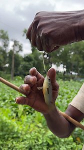 Village people Hook Fishing #reels | Extreme Fish World