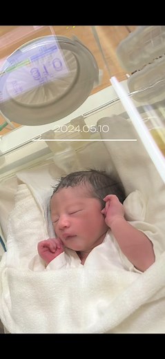 先天性心疾患と無脾症候群についての解説