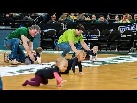 Adorable babies face off in Zalgirio Arena crawling race
