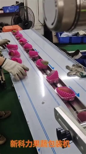 Horizontal Flow Pack Packing Machine Bananas Oranges Flow Packaging Vegetables Fruits Pillow Pack Wrapping Machine