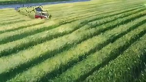 goofy-2-extremadamente-goofy_1