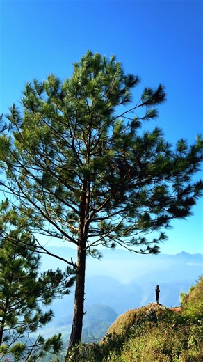 Discovering Marlboro Hills in Sagada: A Travel Guide