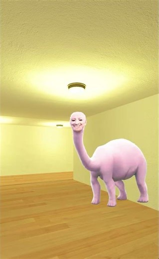 Swam Too Far Catches Catnap in Hotel