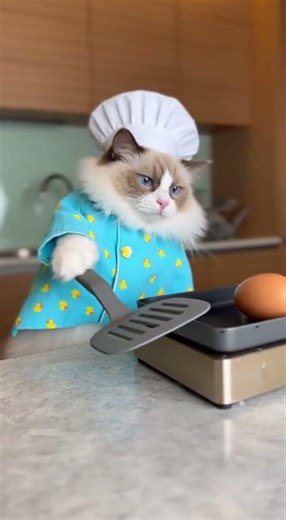 Anyone here knows how to make an eggroll? Quick tips for perfect crunch