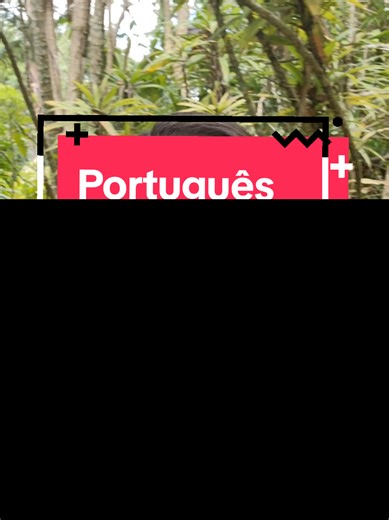 A Linguística das Línguas Tupi e Guarani