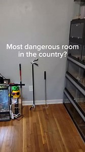 PARTThis room is full of highly venomous snakes. #reptiles #fakesnake #venomoussnakes #boomslang #cobra #gaboonviper | Callmethelamp