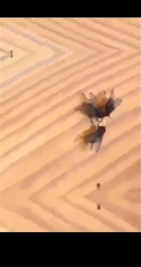 Una Seduta Spiritica Inquietante