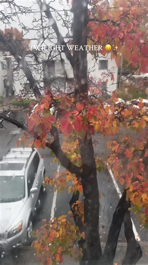 Twilight Weather: How to Enjoy the Fall Season