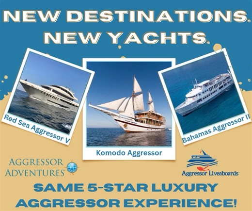3 NEW YACHTS. 3 EPIC DESTINATIONS Aggressor Adventures is raising the bar with brand-new liveaboards on the Bahamas Aggressor II, Komodo Aggressor, and the Red Sea Aggressor V. Same 5-star service. All-new adventures. Ready to explore in luxury? Dive in → https://mailchi.mp/aggressor/new-destinations-new-yachts-same-5-star-luxury-aggressor-experience #AggressorAdventures #LuxuryLiveaboards #DiveTravel #Bahamas #Komodo #RedSea #LiveaboardLife | Aggressor Adventures
