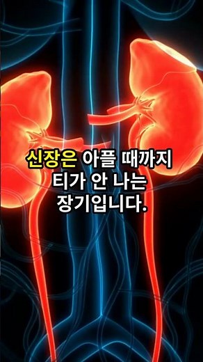 신장에 좋은 음식 10가지 핵심정리 #건강정보 #이슈 #의약지식