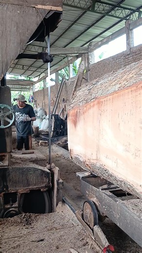 Incredible Woodworking From Giant Timbers #fblifestyle #sawmill #wood #woodworking #woodslabs #fyp #viral #trending #reels #travel #trendingreels #entertainment #diy | Bola Voli Go