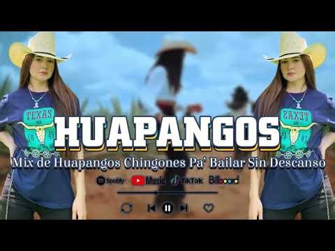 Popurri De Huapangos Chingones Mix ⚡ Huapangos Mix Para Bailar ⚡ Los Mejores Huapangos para Bailar