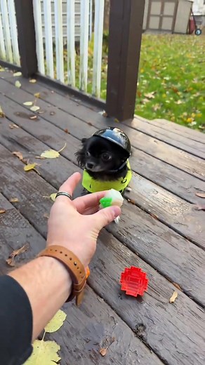 Minecraft Digging Puddin pt2 | Joshpuddin