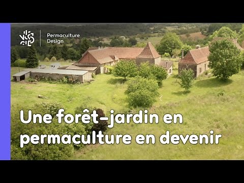 Un potager traditionnel devenu forêt-jardin en permaculture