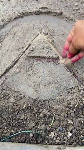 Smart seed knowledge for better harvests🍀🌱