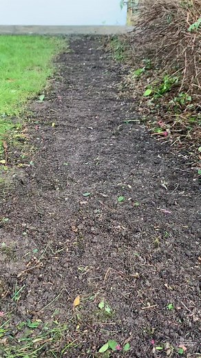 Rénover une zone abîmée de gazon, c’est pas si compliqué !🌱 Voici les étapes que je suis : 1. J’émiette bien la terre pour qu’elle soit légère et prête à recevoir les graines. 2. Je sème le gazon de manière homogène. 3. Je recouvre d’une fine couche de terreau, juste ce qu’il faut. 4. Je tasse légèrement avec le pied pour bien mettre en contact la graine avec le sol. 5. Et j’arrose généreusement pour lancer la germination. Important : garde la zone toujours humide pendant 15 jours, sans flaques