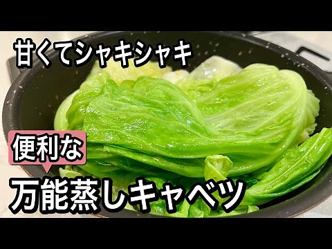 【キャベツ1玉保存】美味しさも栄養も逃さない！生より万能！使い切り人気レシピ4品