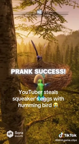 Fix humming bird 🥹 #birdgame #nesting #hummingbird | hummingbird