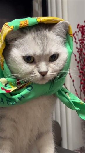 村里有个姑娘叫小芳