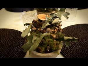 Natural Interior Decorations | At Home With P. Allen Smith