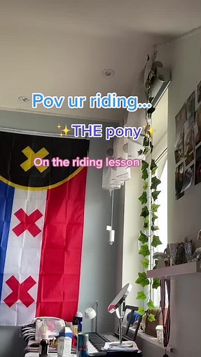 Last one did good, i m also sick so here we are #fyp #foryoupage #pony #ridinglesson