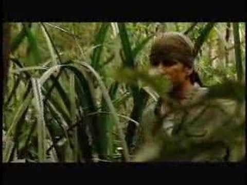 Survival Zone: Jungle: Navigation