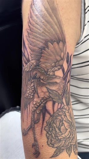 Got to do a little rework on this crane tattoo! #tattoo #tattoosoftiktok #tattoosofinstagram #art #ink