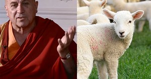 Video : pour Matthieu Ricard, le veganisme, c’est le secret du bonheur