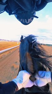 Breezing a racehorse on a beautiful morning at Parx Racetrack. #ParxRacing #racehorses #horseracing #fypシ゚viralシ #thoroughbreds #jockey #horses | Ramon F Moya