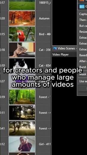 The fastest video content manager for PC