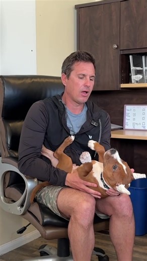 Effective Solutions for Puppy Nipping Challenges