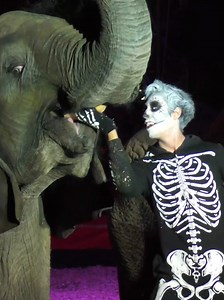 Rene Casselly Jr - Halloween - Magyar Nemzeti Cirkusz 2019 #circusvideo #circus #cirkus #circo #halloween #renecasselly | Circus video