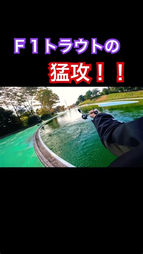 #多摩湖フィッシングエリア #すそのフィッシングパーク #エリアトラウト #管理釣り場 #釣り堀 #釣り #大物釣り #巨大魚 #赤身 #ハートデザイン #fishing