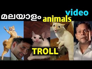 ANIMALS TROLL MALAYALAM VIDEO | part-2 | 🤣🤣 മലയാളം ട്രോൾ | bumberthugs