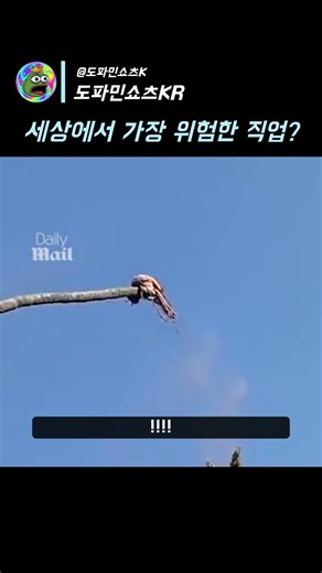일당 1000만 원 줘도 저는 안 합니다...
