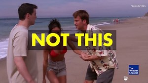 Joey, Monica and Chandler had it all wrong. Here's what you should really do if you're stung by a jellyfish. | The Weather Channel