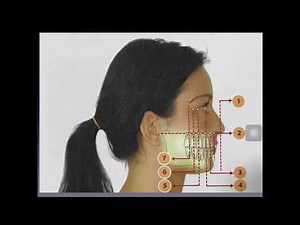TÉCNICAS RADIOGRÁFICAS DENTALES