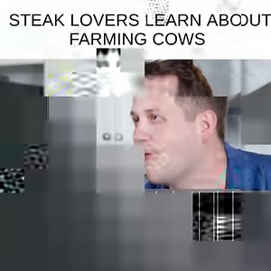 Steak lovers sit down to a meal with BuzzFeed... and a load of facts about cows | LIVEKINDLY