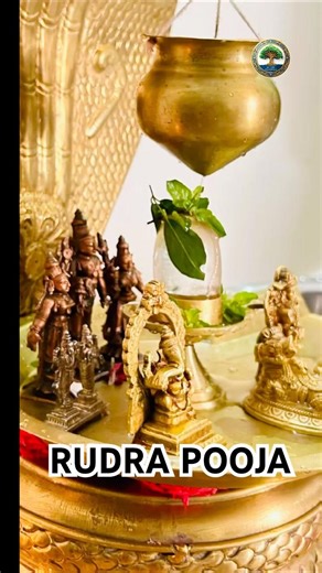Rudra Pooja 🌿#shiva #bhakti #omnamahshivaya #trendingshorts #shortsviral #om