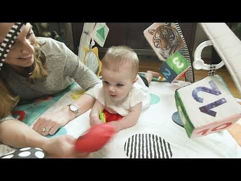 Sensory Play Space™ Newborn-to-Toddler Discovery Gym | Baby Einstein