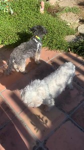 17 reactions | *** WELCOME GUCCI INTO YOUR HOME *** People frequently...