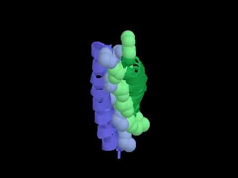 Coiled coil alpha Helix